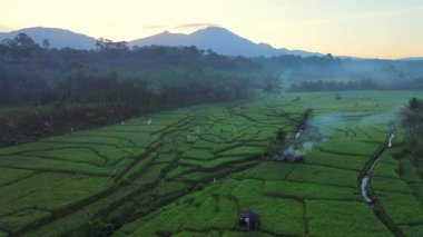 Beautiful morning view indonesia panorama landscape paddy fields with beauty color and sky natural light