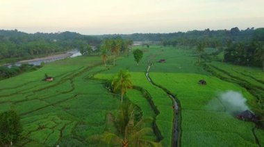 Beautiful morning view indonesia panorama landscape paddy fields with beauty color and sky natural light
