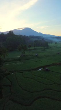 Beautiful morning view indonesia panorama landscape paddy fields with beauty color and sky natural light