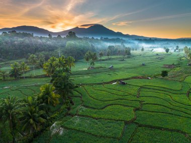 Beautiful morning view indonesia panorama landscape paddy fields with beauty color and sky natural light