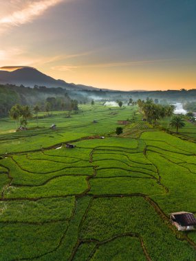 Beautiful morning view indonesia panorama landscape paddy fields with beauty color and sky natural light