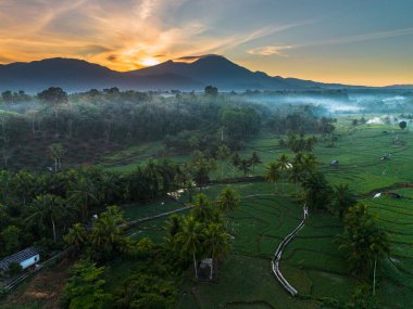 Beautiful morning view indonesia panorama landscape paddy fields with beauty color and sky natural light