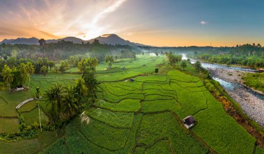 Beautiful morning view indonesia panorama landscape paddy fields with beauty color and sky natural light