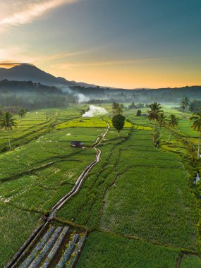 Beautiful morning view indonesia panorama landscape paddy fields with beauty color and sky natural light