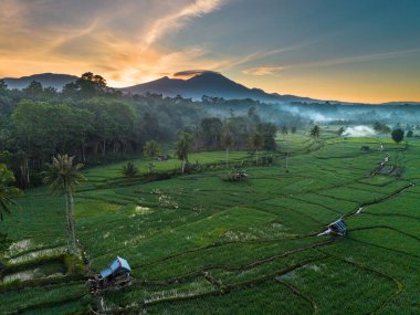 Beautiful morning view indonesia panorama landscape paddy fields with beauty color and sky natural light