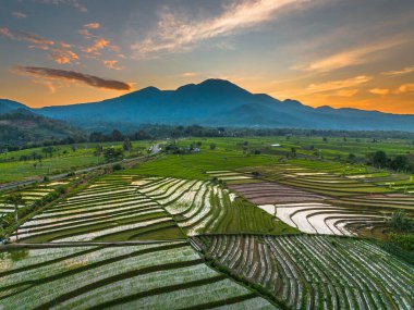 Beautiful morning view indonesia panorama landscape paddy fields with beauty color and sky natural light