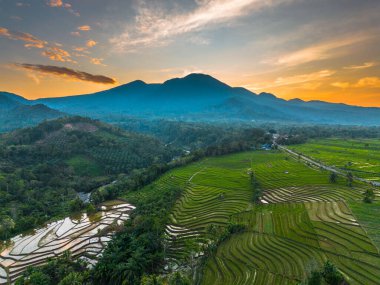 Beautiful morning view indonesia panorama landscape paddy fields with beauty color and sky natural light