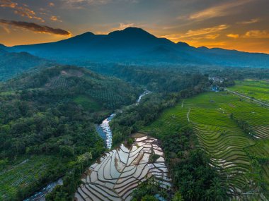 Beautiful morning view indonesia panorama landscape paddy fields with beauty color and sky natural light