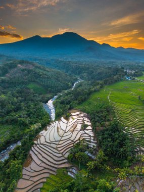 Beautiful morning view indonesia panorama landscape paddy fields with beauty color and sky natural light