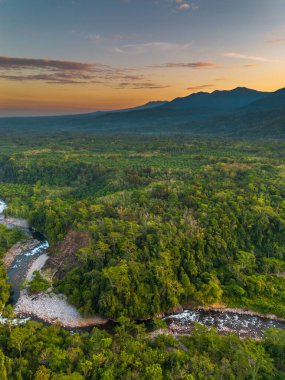 Beautiful morning view indonesia panorama landscape paddy fields with beauty color and sky natural light