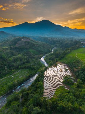 Beautiful morning view indonesia panorama landscape paddy fields with beauty color and sky natural light
