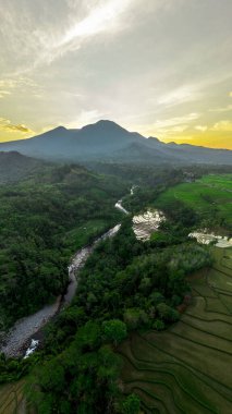 Beautiful morning view indonesia panorama landscape paddy fields with beauty color and sky natural light