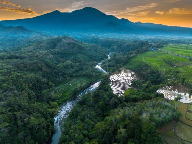 Beautiful morning view indonesia panorama landscape paddy fields with beauty color and sky natural light
