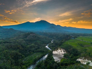 Beautiful morning view indonesia panorama landscape paddy fields with beauty color and sky natural light