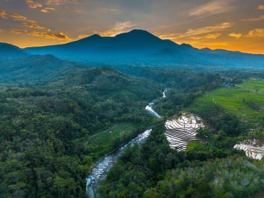 Beautiful morning view indonesia panorama landscape paddy fields with beauty color and sky natural light