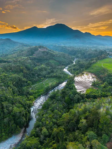 Beautiful morning view indonesia panorama landscape paddy fields with beauty color and sky natural light