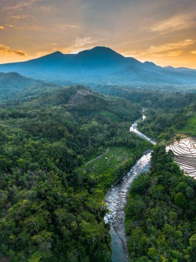 Beautiful morning view indonesia panorama landscape paddy fields with beauty color and sky natural light