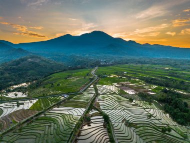 Beautiful morning view indonesia panorama landscape paddy fields with beauty color and sky natural light