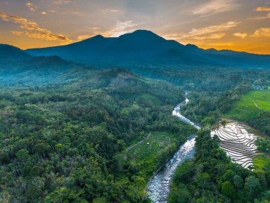 Beautiful morning view indonesia panorama landscape paddy fields with beauty color and sky natural light