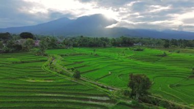 Güzel bir sabah manzarası Endonezya manzara ormanı güzellik rengi ve gökyüzü doğal ışığı