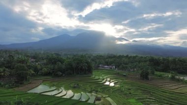 Güzel bir sabah manzarası Endonezya manzara ormanı güzellik rengi ve gökyüzü doğal ışığı