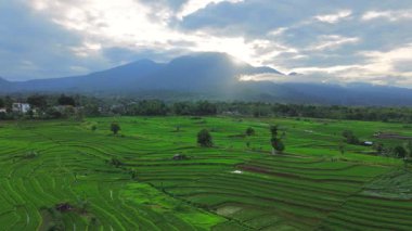 Güzel bir sabah manzarası Endonezya manzara ormanı güzellik rengi ve gökyüzü doğal ışığı