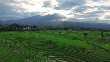 Güzel bir sabah manzarası Endonezya manzara ormanı güzellik rengi ve gökyüzü doğal ışığı