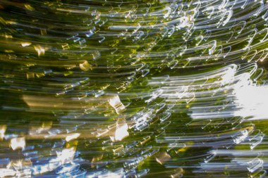 Yumuşak Yeşil Tonlu Soyut Doğa Bulanık Arkaplanı