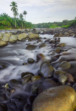 Güzel bir sabah manzarası Endonezya manzara ormanı güzellik rengi ve gökyüzü doğal ışığı