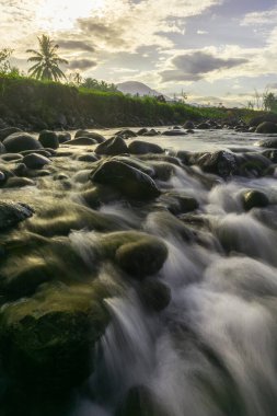 Güzel bir sabah manzarası Endonezya manzara ormanı güzellik rengi ve gökyüzü doğal ışığı