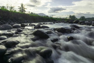 Güzel bir sabah manzarası Endonezya manzara ormanı güzellik rengi ve gökyüzü doğal ışığı