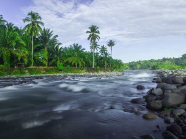 Güzel bir sabah manzarası Endonezya manzara ormanı güzellik rengi ve gökyüzü doğal ışığı