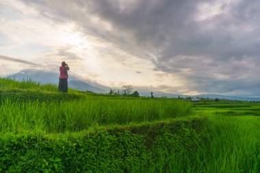 Güzel bir sabah manzarası Endonezya manzara ormanı güzellik rengi ve gökyüzü doğal ışığı