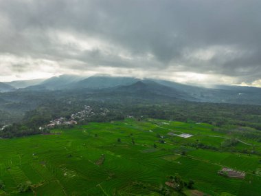 Güzel bir sabah manzarası Endonezya manzara ormanı güzellik rengi ve gökyüzü doğal ışığı