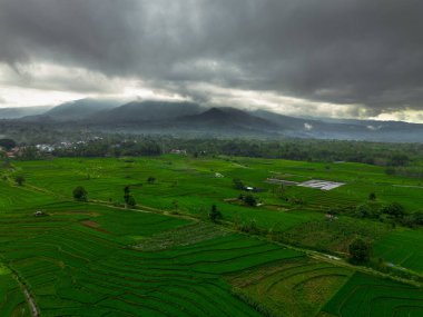 Güzel bir sabah manzarası Endonezya manzara ormanı güzellik rengi ve gökyüzü doğal ışığı