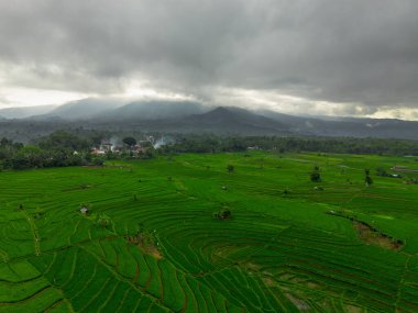 Güzel bir sabah manzarası Endonezya manzara ormanı güzellik rengi ve gökyüzü doğal ışığı