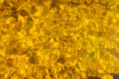 Güzel bir sabah manzarası Endonezya manzara ormanı güzellik rengi ve gökyüzü doğal ışığı