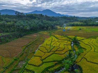Güzel bir sabah manzarası Endonezya manzara ormanı güzellik rengi ve gökyüzü doğal ışığı