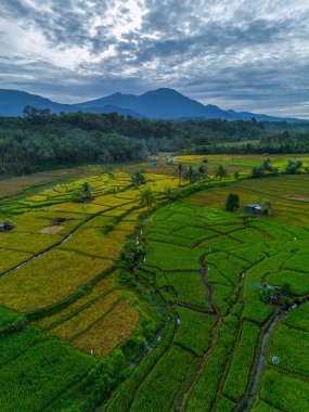 Güzel bir sabah manzarası Endonezya manzara ormanı güzellik rengi ve gökyüzü doğal ışığı