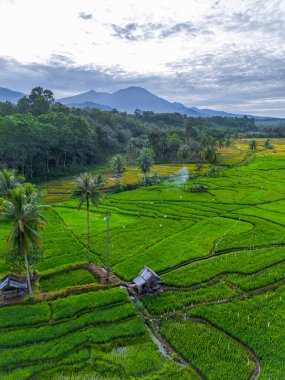 Güzel bir sabah manzarası Endonezya manzara ormanı güzellik rengi ve gökyüzü doğal ışığı