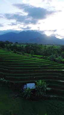 Endonezya 'nın harika gündoğumu manzarası. Parlak gökyüzü ile doğa vadisi ormanı.