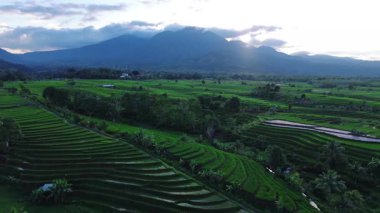 Endonezya 'nın harika gündoğumu manzarası. Parlak gökyüzü ile doğa vadisi ormanı.