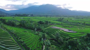 Endonezya 'nın harika gündoğumu manzarası. Parlak gökyüzü ile doğa vadisi ormanı.