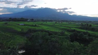 Endonezya 'nın harika gündoğumu manzarası. Parlak gökyüzü ile doğa vadisi ormanı.