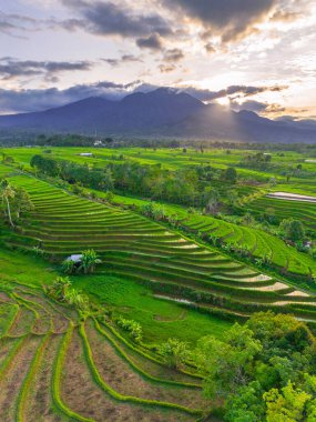 Endonezya 'nın harika gündoğumu manzarası. Parlak gökyüzü ile doğa vadisi ormanı.
