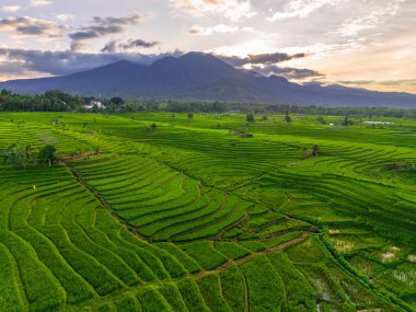 Endonezya 'nın harika gündoğumu manzarası. Parlak gökyüzü ile doğa vadisi ormanı.