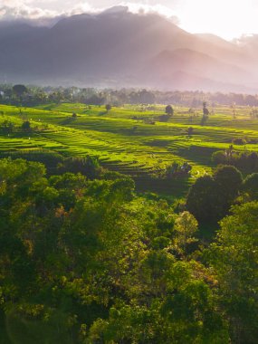 Endonezya 'nın harika gündoğumu manzarası. Parlak gökyüzü ile doğa vadisi ormanı.
