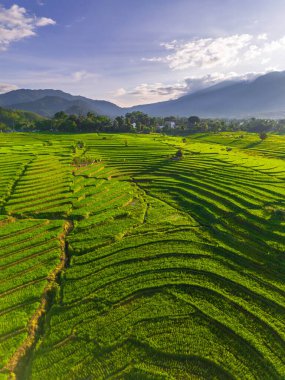 Endonezya 'nın harika gündoğumu manzarası. Parlak gökyüzü ile doğa vadisi ormanı.