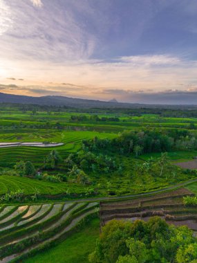 Endonezya 'nın harika gündoğumu manzarası. Parlak gökyüzü ile doğa vadisi ormanı.