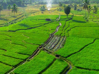Endonezya 'nın harika gündoğumu manzarası. Parlak gökyüzü ile doğa vadisi ormanı.